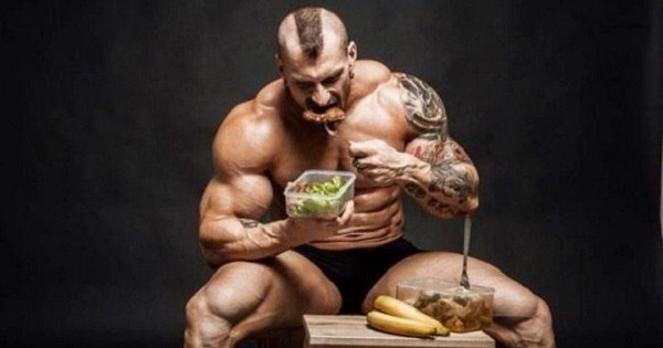 Building Muscle Diet Protein