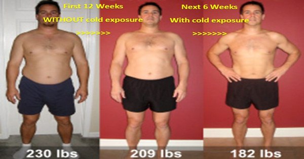 Dr schulze detox program image 2