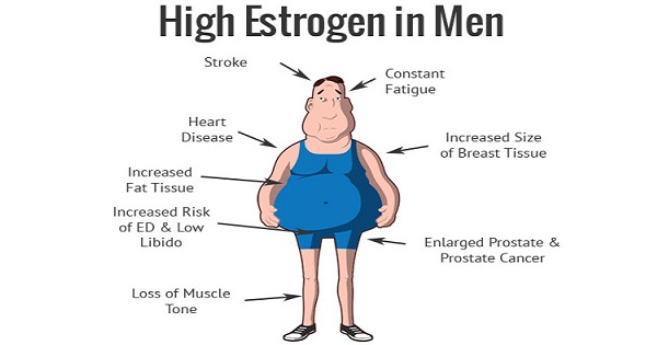 Estrogen Male 16